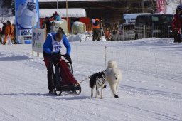 Lenk 2013